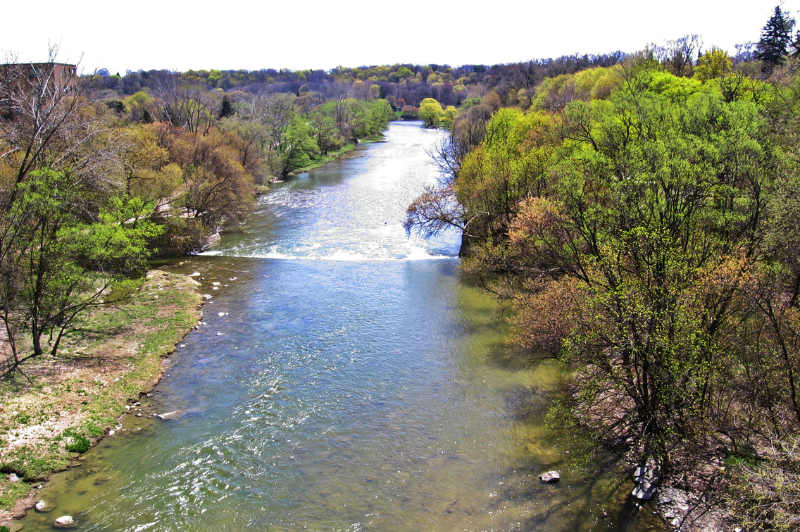 Humber River surrounded by forest, view from the Dundas Street Bridge