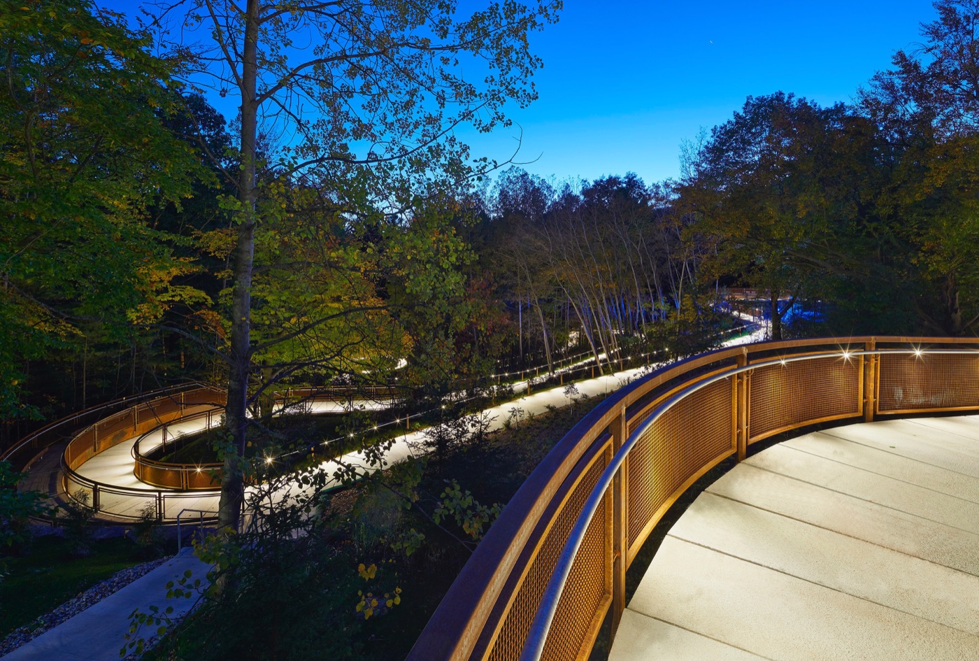 Lit path from the University of Toronto Scarborough